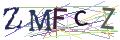 Captcha Not Loaded