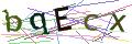 Captcha Not Loaded