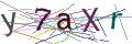 Captcha Not Loaded